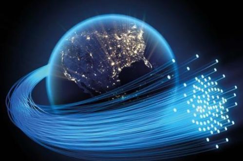 科技賦能，強勁支持 Velia德國維亞網絡如何以專用服務器驅動企業未來